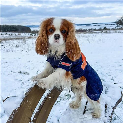 01 Siccaro Supreme 2.0 Tørredækken